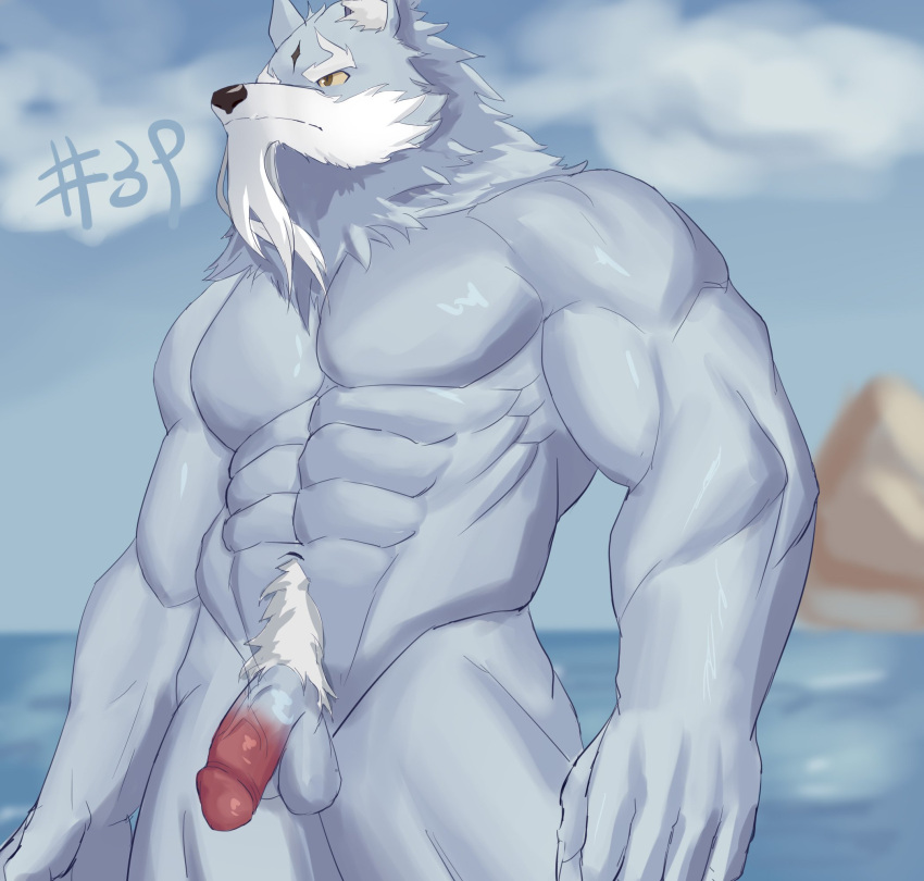 2021 5_fingers abs anthro balls barazoku beard biceps black_nose brown_eyes canid canine canis facial_hair fingers fur genitals glans grey_balls grey_body grey_fur hi_res is law_(sdorica_sunset) male mammal muscular muscular_anthro muscular_male muscular_thighs navel onlybwg3 pecs penis red_glans red_penis sdorica sea solo water white_body white_fur white_pubes wolf yellow_sclera