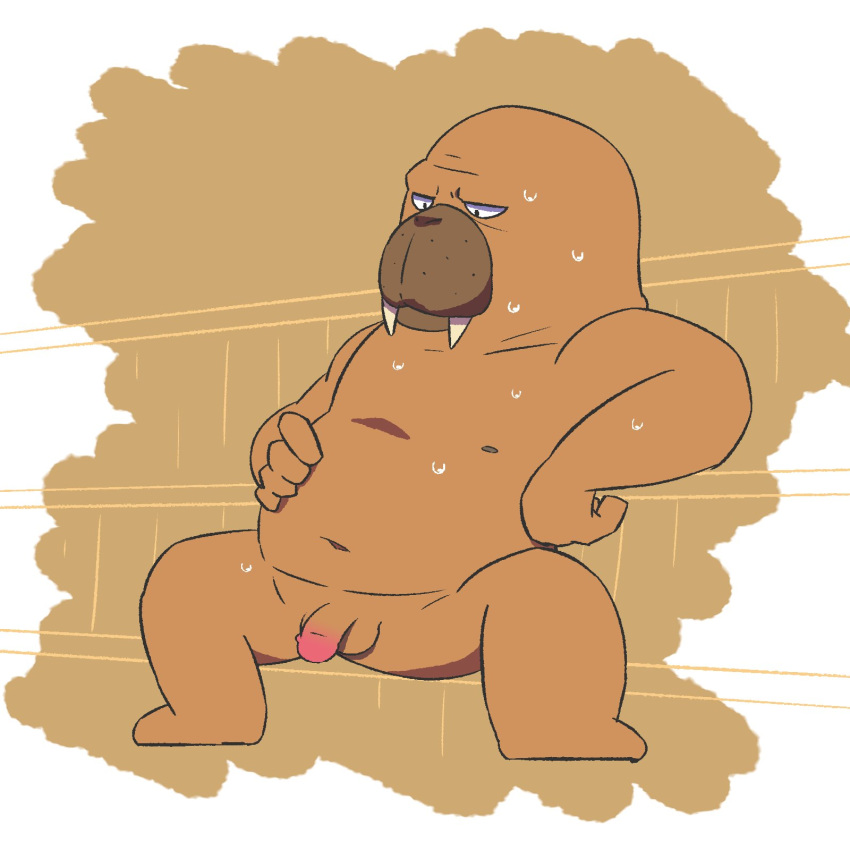 anthro bodily_fluids genitals hi_res male mammal marine odd_taxi odokawa_(odd_taxi) penis pinniped sauna slightly_chubby solo sweat towel walrus