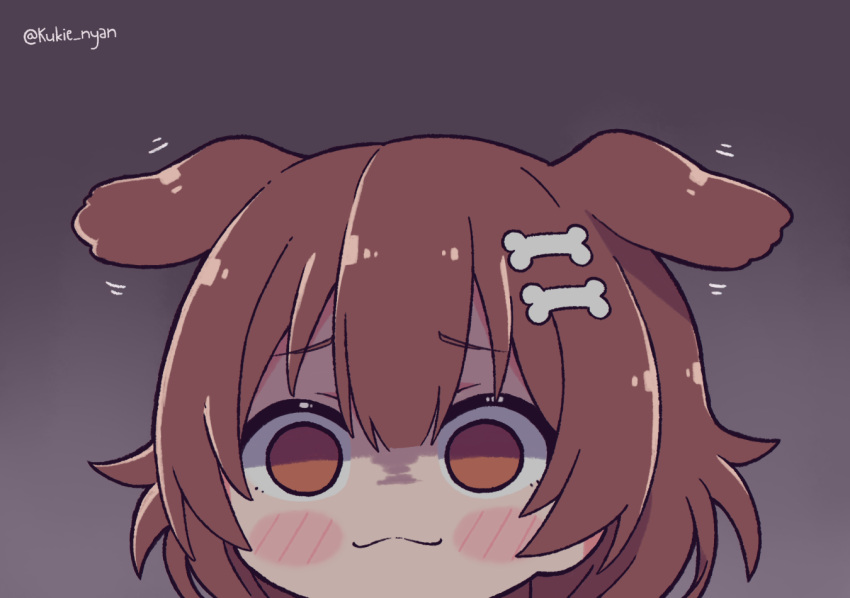 1girl :3 animal_ears blush_stickers bone_hair_ornament brown_eyes brown_hair chibi commentary dog_ears empty_eyes english_commentary extra_ears eyebrows_visible_through_hair flapping_ears grey_background hair_ornament hairclip hololive inugami_korone kukie-nyan solo twitter_username virtual_youtuber yandere