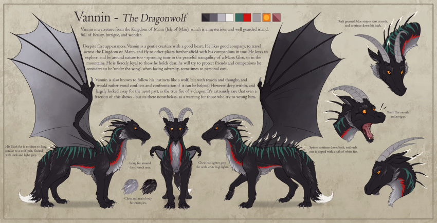 2021 digital_media_(artwork) digitigrade dragon english_text feral fur furred_dragon hi_res hybrid kanizo model_sheet open_mouth orange_eyes solo teeth text tongue