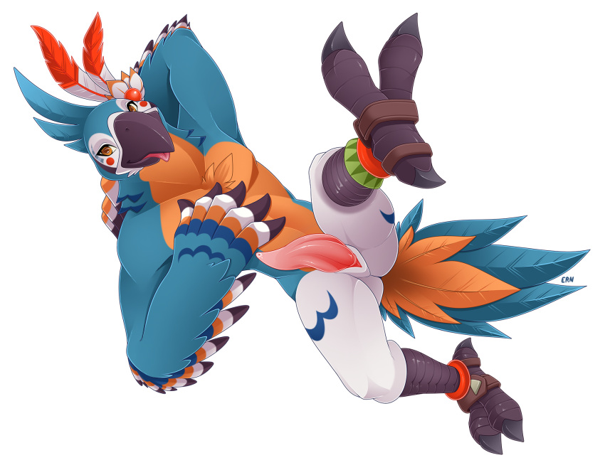 2021 alpha_channel anthro avian b-ern bird breath_of_the_wild erection genitals hi_res kass_(tloz) looking_at_viewer male nintendo penis solo tapering_penis the_legend_of_zelda video_games