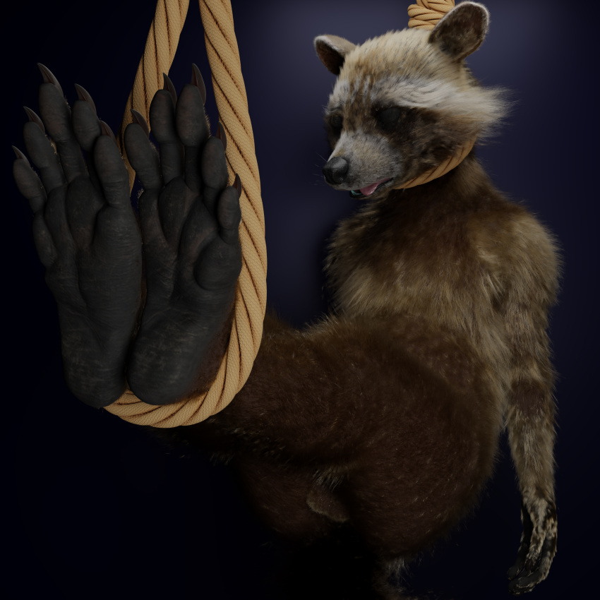 1:1 5_toes absurd_res anthro ascaniololololol asphyxiation balls barefoot death feet fur genitals guardians_of_the_galaxy hanged hi_res male mammal marvel necrophilia noose nude paws procyonid raccoon rocket_raccoon snuff solo strangling toes