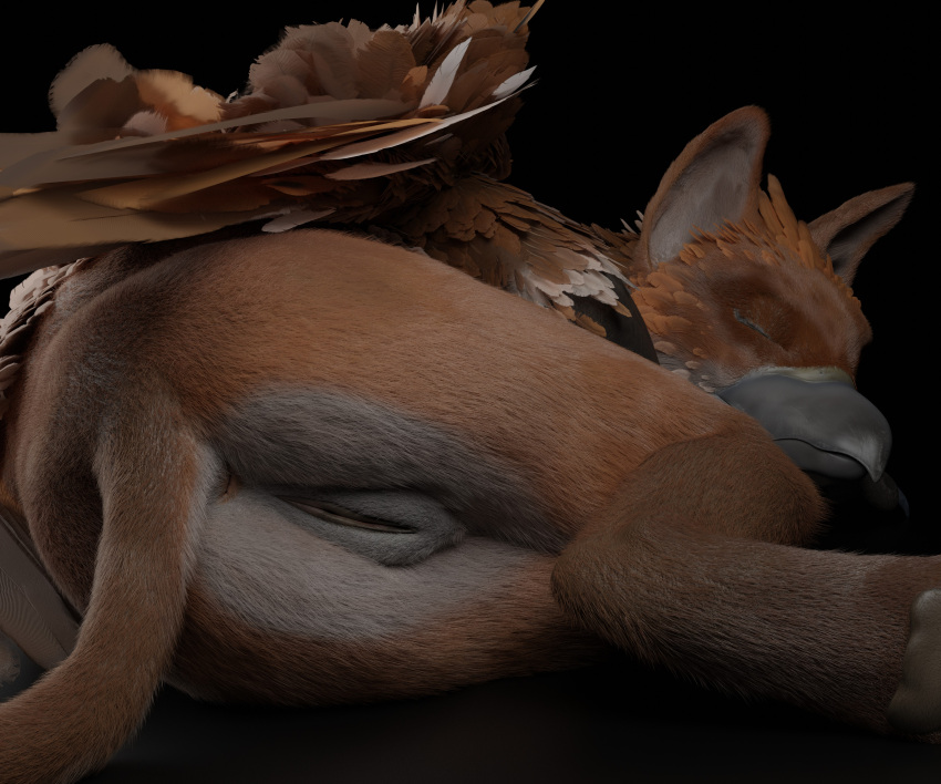 3d_(artwork) absurd_res anus ascaniololololol avian butt digital_media_(artwork) feathered_wings feathers female feral fur genitals gryphon hi_res mammal mythological_avian mythology nude pussy sleeping solo unconscious wings