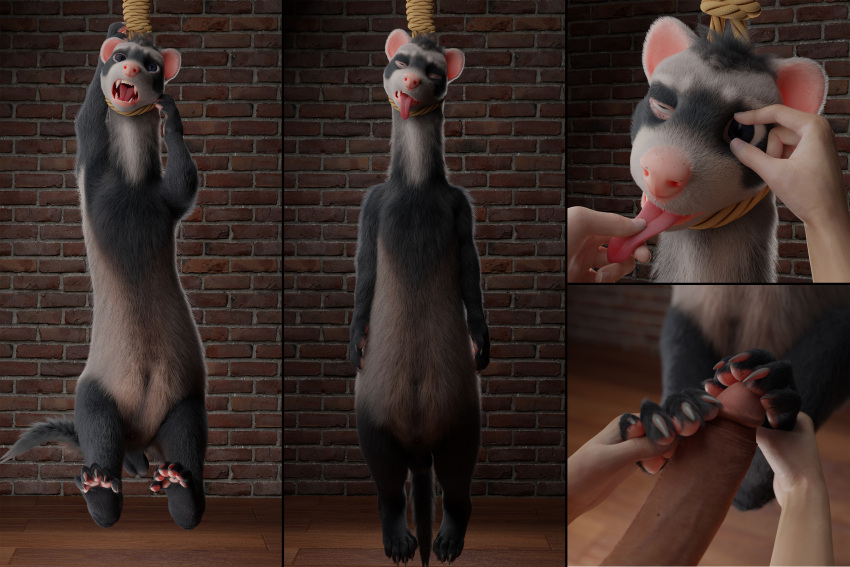 absurd_res abuse anthro ascaniololololol asphyxiation balls barefoot claws corpse death digital_media_(artwork) domestic_ferret feet fingers foot_fetish foot_play footjob fur genitals hanged hi_res limp male mammal mustela mustelid musteline necrophilia noose nude open_mouth pawjob pawpads paws rope sex snuff solo toes tongue tongue_out true_musteline two-footed_footjob