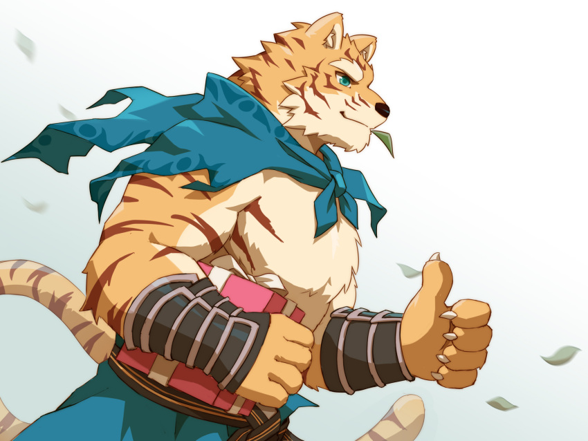 5_fingers anthro armguards bgvhgdgfx black_nose claws felid fingers fur gift green_eyes hi_res holding_gift holding_object humanoid_hands male mammal orange_body orange_fur orange_tail pang pantherine scarf sdorica shirtless solo striped_body striped_fur striped_tail stripes tan_body tan_fur tiger