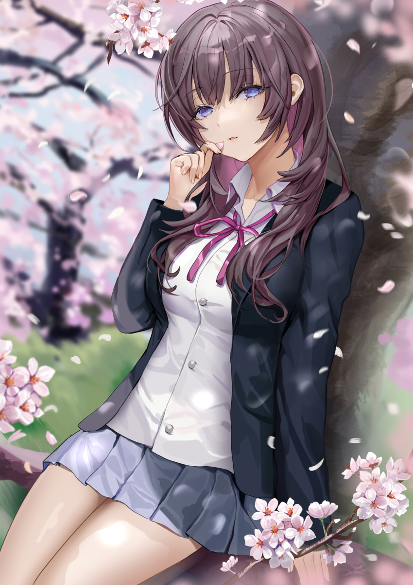 1girl bangs black_jacket blue_skirt blurry blurry_background breasts brown_hair cherry_blossoms collared_shirt depth_of_field dress_shirt eyebrows_visible_through_hair flower highres holding holding_petal in_tree jacket lloule long_hair long_sleeves looking_at_viewer medium_breasts miniskirt neck_ribbon original parted_lips petals pink_flower pink_neckwear pink_ribbon pleated_skirt purple_eyes ribbon shirt sitting sitting_in_tree skirt solo tree white_shirt