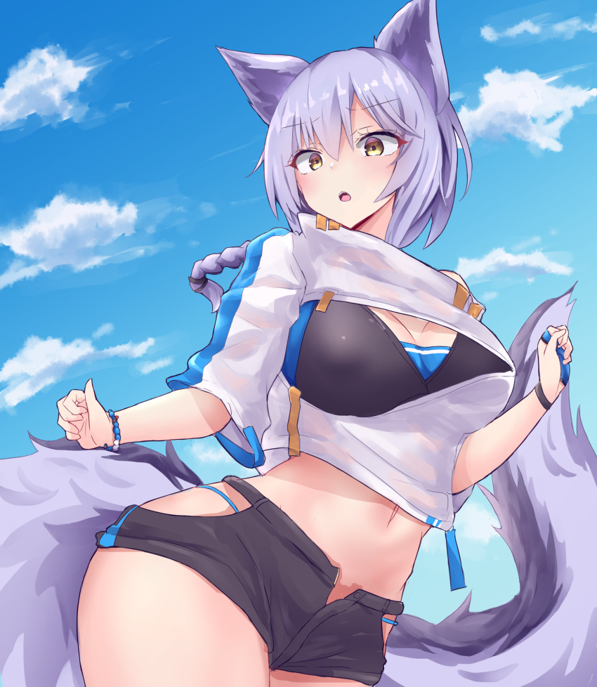 :o animal_ears arknights bikini_shorts contrapposto cowboy_shot eyebrows_visible_through_hair highres hip_vent large_tail low_tied_hair midriff navel official_alternate_costume open_clothes open_fly open_shorts provence_(arknights) purple_hair purple_tail short_hair short_sleeves shorts standing swimsuit swimwear tail unbuttoned_shorts upper_teeth wolf_ears wolf_tail yellow_eyes yuuki_shuri