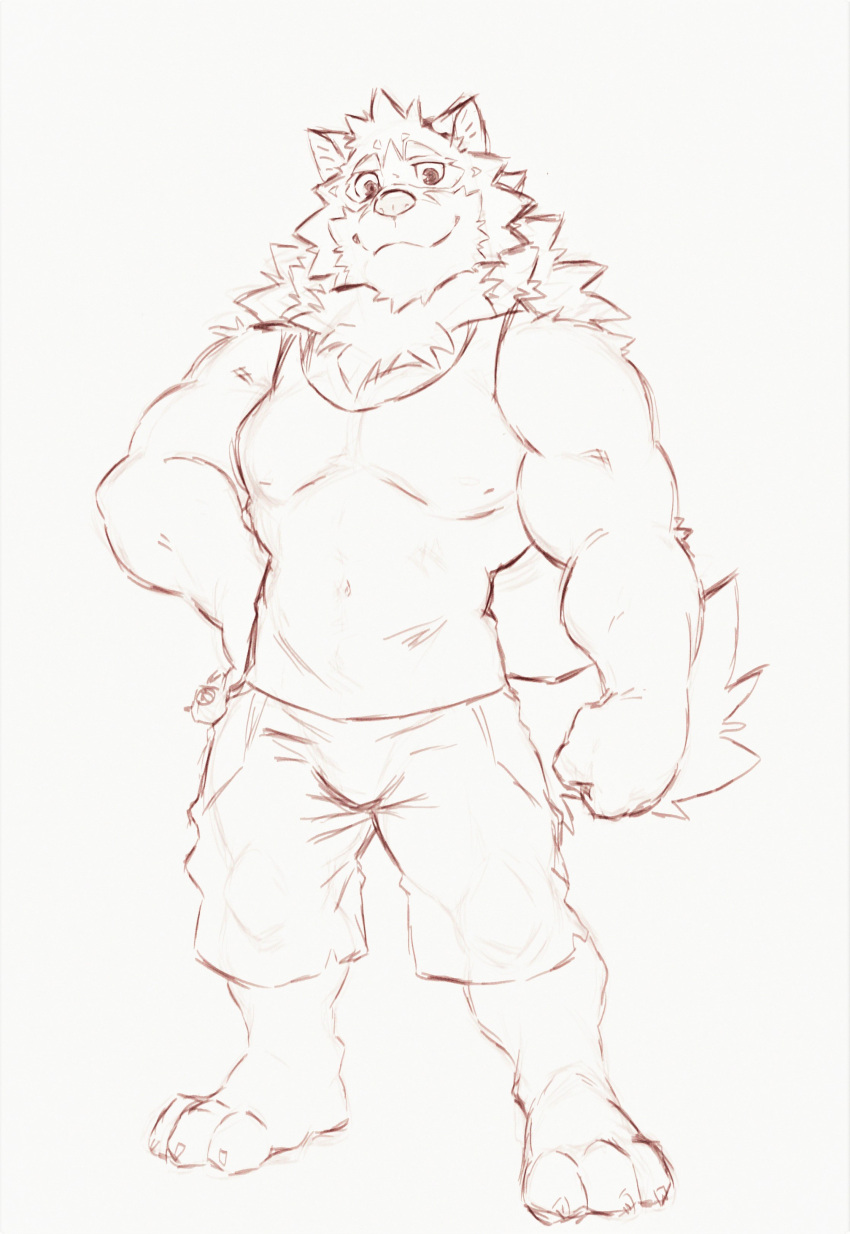 absurd_res anthro barrel_(live-a-hero) biceps bottomwear canid canine canis clothing heylaw21 hi_res live-a-hero male mammal muscular muscular_male pecs shirt shorts sketch tank_top topwear wolf