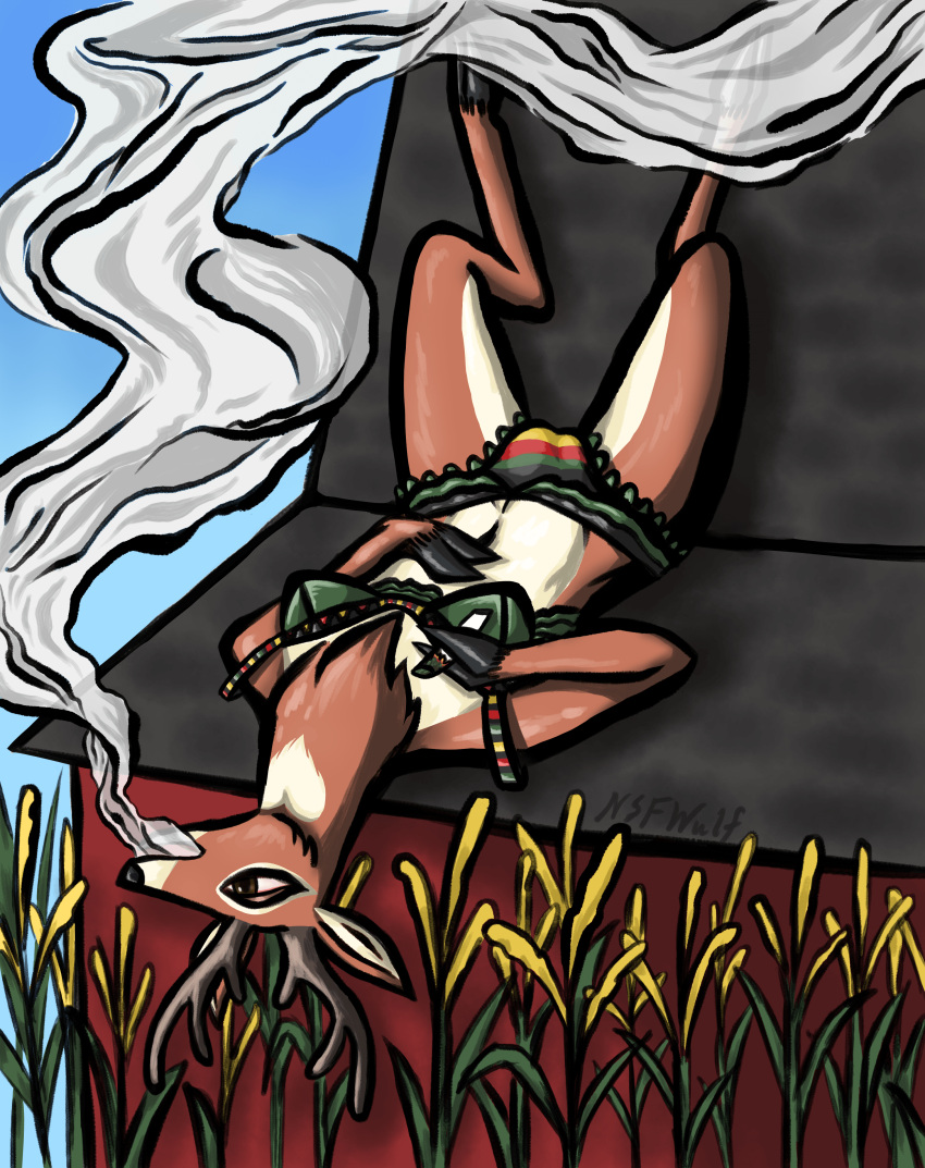 absurd_res anthro antlers barn blue_sky breasts bulge capreoline cervid clothed clothing cornfield cornstalks drugs farm genital_outline gynomorph hi_res hooves horn intersex lace_bra lace_panties lingerie lying mammal marijuana nsfwulf on_back penis_outline relaxing roof rooftop sky small_breasts smoke smoking smoking_weed solo trans_(lore) trans_woman_(lore) white-tailed_deer