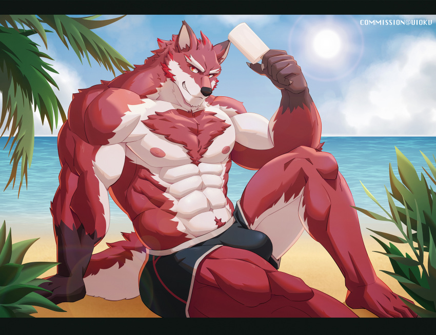 abs anthro beach biceps bikini body_hair bottomwear bulge canid canine chest_hair chest_tuft clothing cloud detailed_background diederich_olsen_(knights_college) food fur genital_outline hi_res knights_college male mammal muscular muscular_anthro muscular_male nipples outside penis_outline popsicle red_body red_fur sand seaside sky solo sun swimwear teacher tuft uiokv