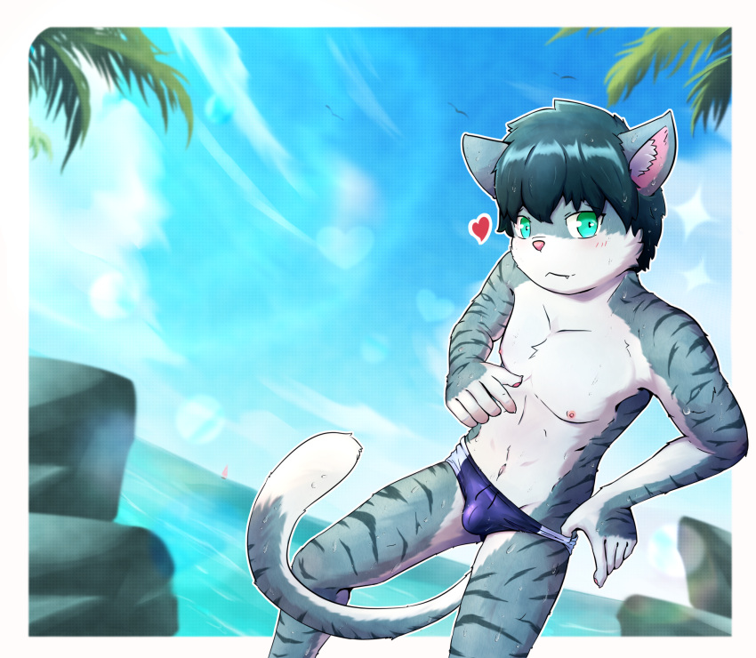 anthro beach clothing felid feline hi_res kemono lens_flare luce_bontemps lynx male mammal seaside solo speedo swimwear underwear young_male