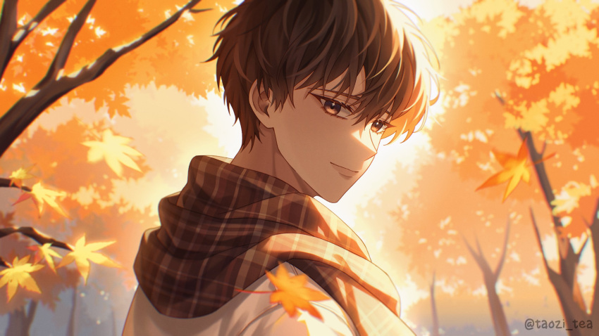 1boy autumn autumn_leaves brown_hair closed_mouth commentary english_commentary falling_leaves highres kim_dokja leaf looking_at_viewer looking_back male_focus maple_leaf omniscient_reader's_viewpoint scarf short_hair solo taozi_tea tree twitter_username upper_body
