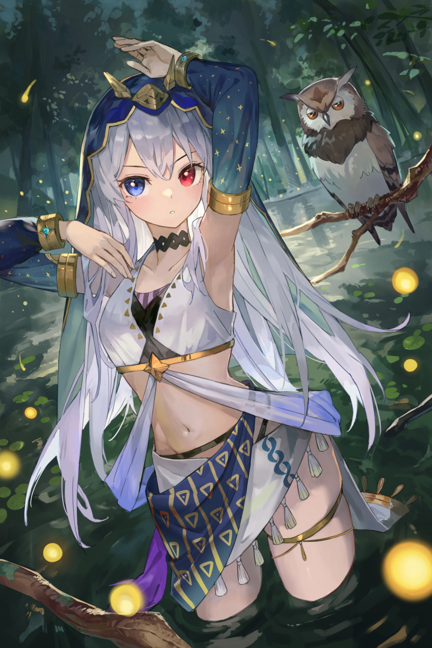 1girl absurdres arm_up armpits bird black_choker blue_eyes blue_sleeves blue_veil choker collarbone crop_top detached_sleeves hair_between_eyes harem_outfit heterochromia highres kobuta lake long_hair long_sleeves looking_at_viewer midriff navel night original outdoors owl parted_lips red_eyes skindentation solo standing stomach straight_hair thighlet very_long_hair wading white_hair