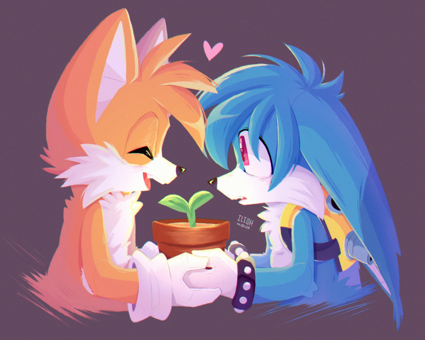 2boys closed_eyes fox_boy gloves heart highres holding holding_plate ili0tropi0h kitsunami_the_fennec male_focus multiple_boys plant plate potted_plant simple_background sonic_(series) sonic_the_hedgehog_(idw) tails_(sonic) white_gloves yaoi