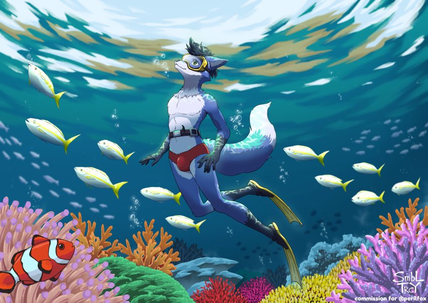 absurd_res anthro canid canine clothing diving diving_mask eyewear fox goggles hi_res holding_breath male mammal mask sambalteracy solo speedo swimming_fins swimwear underwater water weight_belt