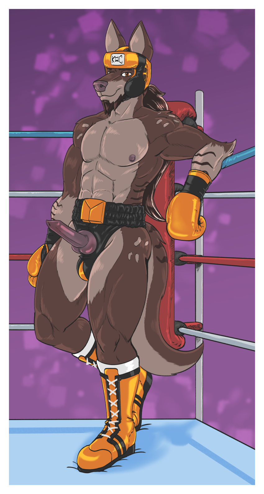 2020 abs absurd_res animal_genitalia anthro balls boots boxing boxing_gloves brown_body brown_fur brown_hair canid canine canis clothing crotchless_bottomwear crotchless_clothing dcheese digital_media_(artwork) erection facial_hair fighting_ring footwear fur genitals goatee gruff_(zaebar) hair handwear headgear hi_res knot koc male mammal markings muscular muscular_male orange_eyes pecs penis ponytail sport wolf