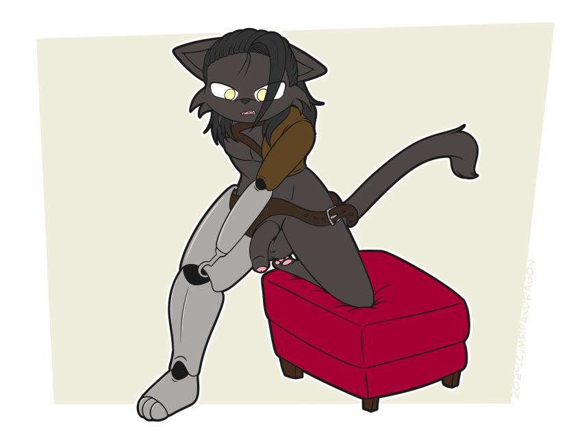 absurd_res amputee armless disability domestic_cat felid feline felis hi_res lucien lucky_lucien mammal missing_arm missing_leg prosthetic prosthetic_arm prosthetic_leg prosthetic_limb triple_amputee
