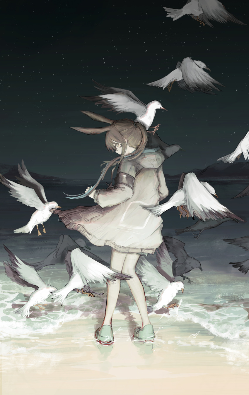 1girl absurdres amiya_(arknights) animal animal_ears arknights armband beach bird brown_hair flock from_behind hands_up highres hood hood_down hooded_jacket jacket looking_down night nueegochi ocean open_clothes open_jacket outdoors ponytail rabbit_ears rabbit_girl seagull solo waves