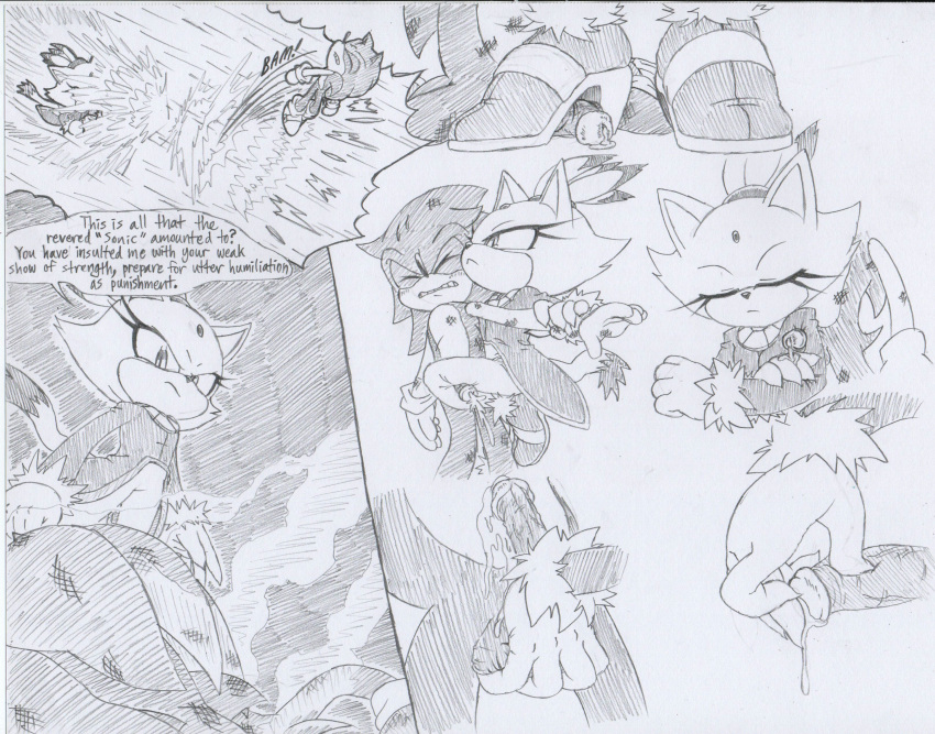 absurd_res anthro blaze_the_cat domination duo female female_domination foot_fetish foot_play footjob handjob hb_lint hi_res male male/female penile sex sonic_the_hedgehog sonic_the_hedgehog_(series)