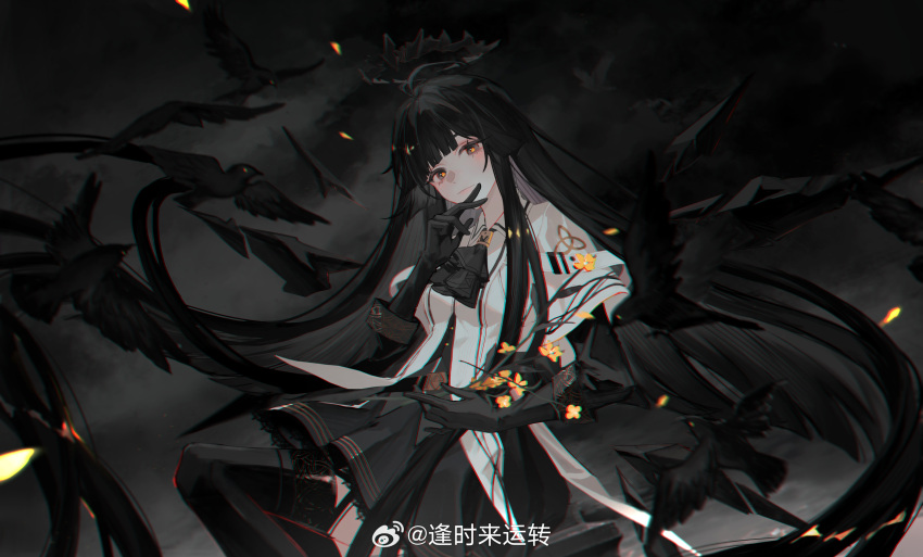 1girl absurdly_long_hair animal antenna_hair arknights artist_name ascot belt belt_buckle bird black_ascot black_belt black_garter_straps black_gloves black_hair black_halo black_skirt black_thighhighs black_wings blunt_bangs blurry blurry_background blurry_foreground breasts broken_halo buckle bustier buttons chinese_commentary chromatic_aberration closed_mouth cloud coat collared_coat colored_inner_hair commentary_request crow dark_halo depth_of_field detached_wings energy_wings eyelashes feet_out_of_frame floating_hair flower from_side garter_straps gloves grey_eyes grey_hair grey_shirt halo hand_to_own_mouth hand_up head_down highres hime_cut holding holding_flower lace-trimmed_skirt lace_trim layered_clothes layered_sleeves light_smile lips long_hair long_sleeves looking_at_viewer looking_to_the_side miniskirt multicolored_hair outdoors overcast pleated_skirt shirt short_over_long_sleeves short_sleeves sidelocks skirt sky small_breasts solo standing straight_hair strap tailcoat thighhighs till-valhalla two-tone_hair untucked_shirt very_long_hair virtuosa_(arknights) watermark weibo_logo weibo_watermark white_coat wide_sleeves wing_collar wings yellow_flower yellow_pupils zettai_ryouiki