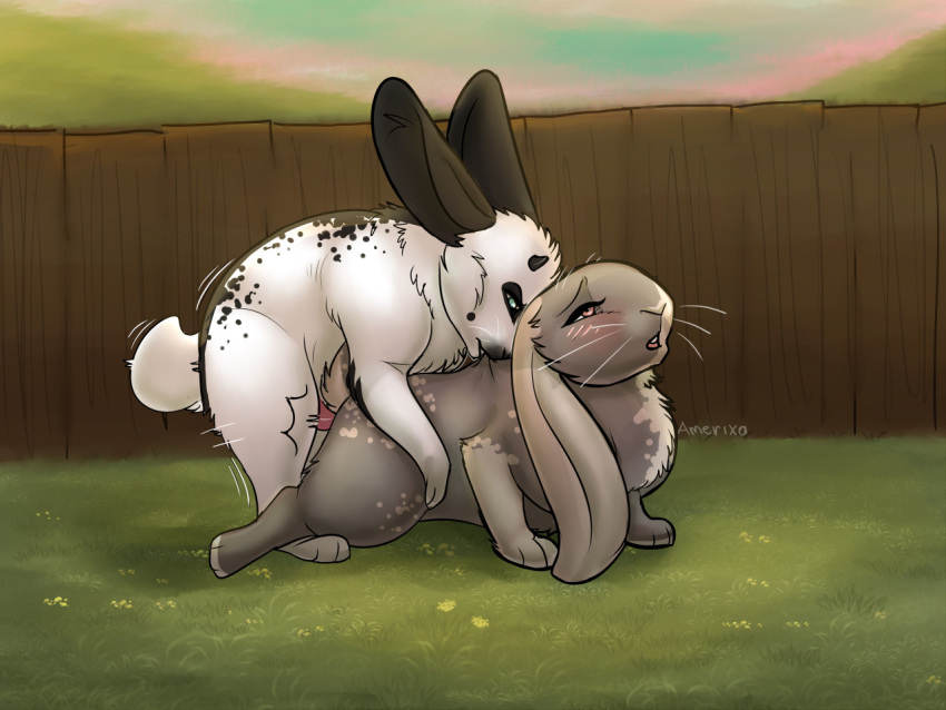 2021 amarixa ambiguous_gender bite duo feral feral_on_feral feral_penetrated feral_penetrating feral_penetrating_feral genitals lagomorph leporid male male/ambiguous male_penetrating mammal outside penetration penis rabbit sex