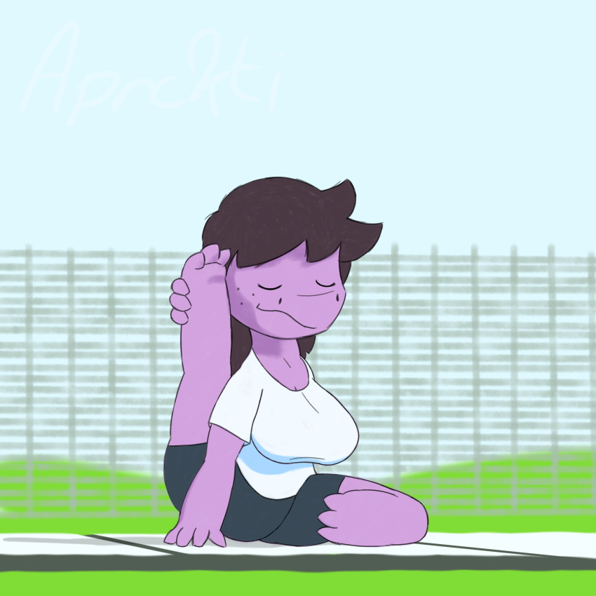 1:1 absurd_res anthro barefoot big_breasts bottomwear breasts brown_hair clothed clothing deltarune eyes_closed feet female fence fully_clothed gym_bottomwear gym_clothing gym_shorts hair hi_res holding_leg kcrtp leg_behind_head lizard messy_hair non-mammal_breasts nostrills outside peaceful purple_body purple_scales reptile scales scalie shirt shorts snout solo sport sportswear susie_(deltarune) toes topwear video_games white_clothing white_shirt white_topwear yoga