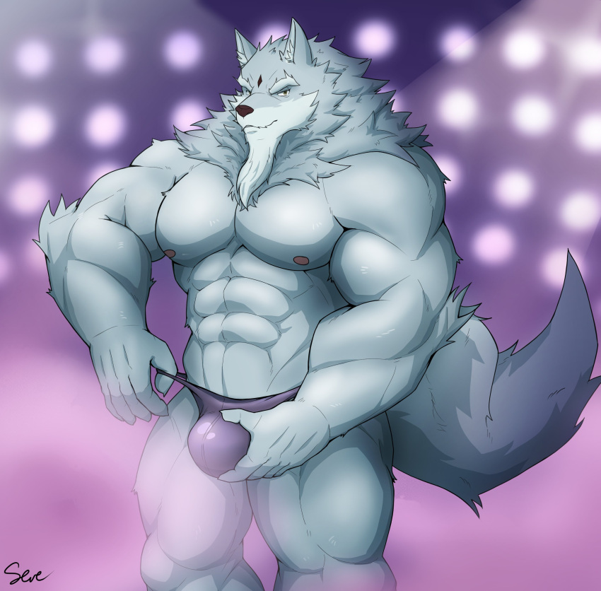 5_fingers abs absurd_res anthro beard biceps biped bulge bulge_fondling canid canine canis clothed clothing eyebrows facial_hair fingers fur grey_body grey_fur hi_res humanoid_hands law_(sdorica_sunset) male mammal muscular muscular_anthro muscular_male muscular_thighs nipples pecs sdorica serenaught solo thick_eyebrows topless triceps underwear underwear_only wolf