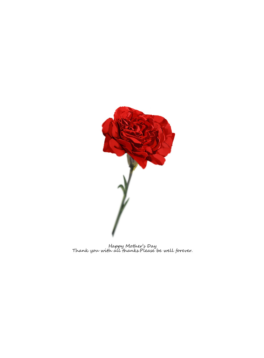 absurdres english_text engrish_text flower highres mother's_day nagishiro_mito no_humans original ranguage red_flower red_rose rose simple_background still_life white_background