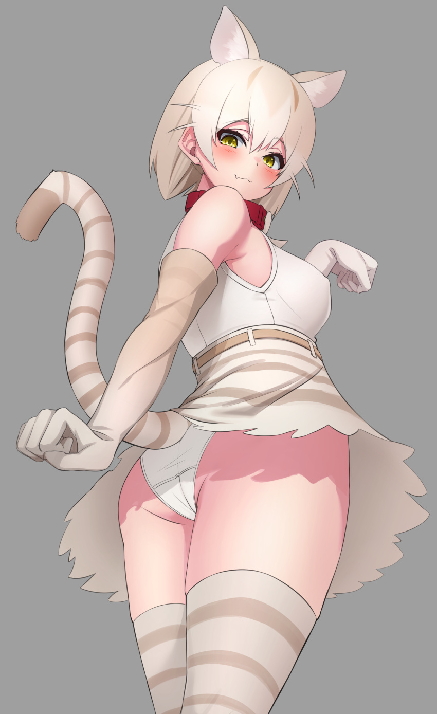 1girl :3 absurdres animal_ear_fluff animal_ears ass bangs bare_shoulders beige_gloves blush breasts cat_(kemono_friends) cat_ears cat_girl cat_tail collar covered_nipples cowboy_shot deku_suke elbow_gloves extra_ears fang fang_out flat_ass gloves grey_background hair_between_eyes high-waist_skirt highres kemono_friends looking_at_viewer looking_back medium_breasts panties paw_pose red_collar simple_background skin_fang skirt solo striped striped_legwear striped_tail tail thighhighs underwear white_panties yellow_eyes