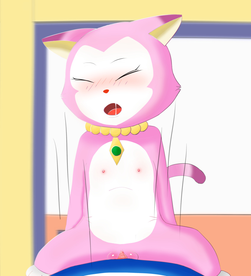 absurd_res anime bestiality blush cowgirl_position domestic_cat doraemon doraemon_(character) dr.francat duo felid feline felis female feral from_front_position fur genitals hi_res humanoid humanoid_on_feral male male/female mammal miyoko on_bottom on_top pussy sex simple_background uncensored