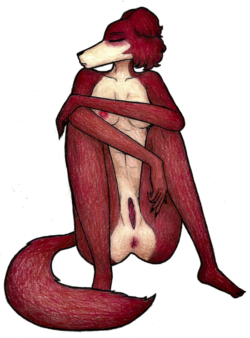 anthro anus artistic_nudity beastars blush breasts butt calm canid canine canis eyes_closed female fur genitals hi_res juno_(beastars) mammal nipples nude pose pussy serious simple_background sitting solo tired tunk_saray_lovesta wolf