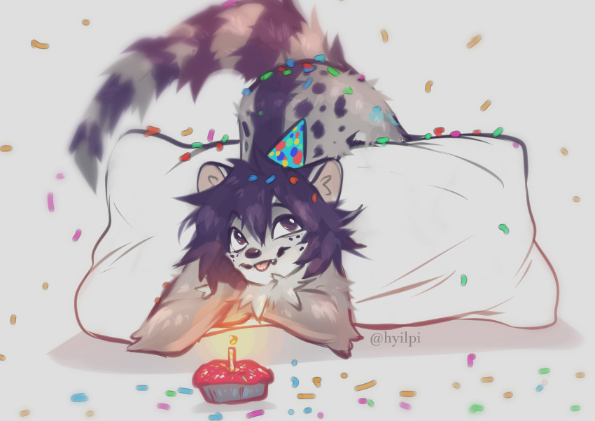 2021 ass_up birthday_hat black_hair brown_eyes candle confetti crossed_arms digital_media_(artwork) fur grey_body grey_fur hair hi_res hyilpi looking_aside pillow tongue tongue_out