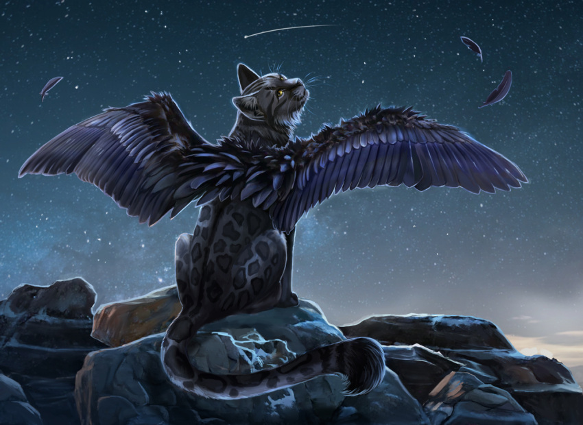 2021 ambiguous_gender detailed_background digital_media_(artwork) feathered_wings feathers felid feral hybrid leopard looking_at_viewer mammal muns11 night outside pantherine rock sitting sky smile solo star starry_sky whiskers wings yellow_eyes