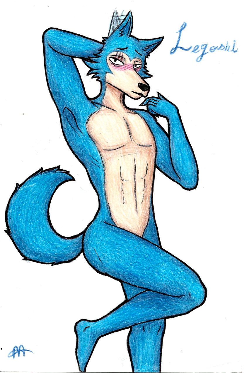 absurd_res anthro beastars blush butt canid canine canis censored chest_fur convenient_censorship front_view fur hi_res invalid_tag legoshi_(beastars) male mammal muscular muscular_anthro muscular_male nude pinup pose scar shy simple_background solo standing text tunk_saray_lovesta wolf