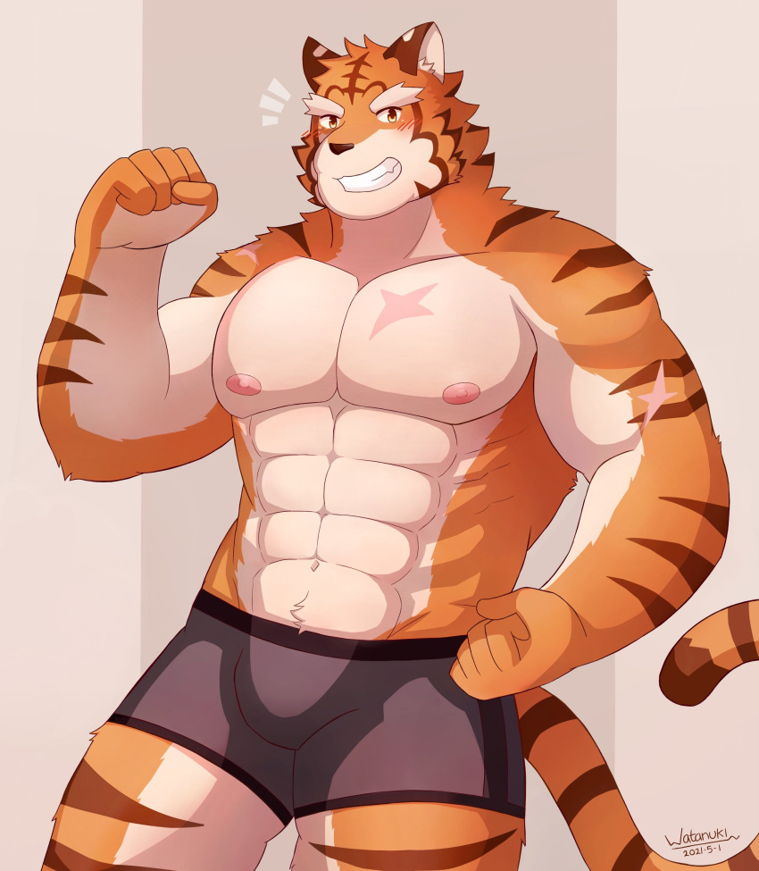 abs absurd_res anthro boxer_briefs bulge clothing felid grantly hi_res knights_college male mammal muscular muscular_anthro muscular_male nipples scar shirtless shirtless_male solo underwear video_games visual_novel watanukitail