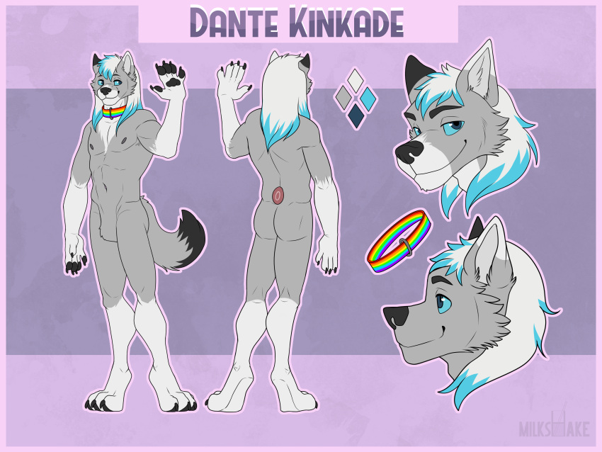4:3 absurd_res anthro canid canine canis collar dante_kinkade hi_res male male/male mammal milkshakefrappucino model_sheet paws solo wolf