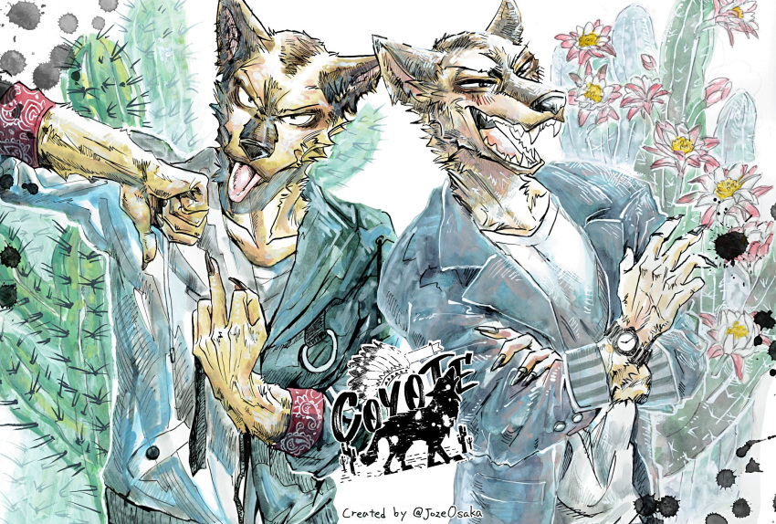 2021 5_fingers anthro beastars black_nose brown_body brown_fur cactus canid canine canis claws clock clothed clothing coyote crossed_arms durham_(beastars) english_text fangs finger_claws fingers flower fur gesture hi_res humanoid_hands jacket joze_osaka male mammal middle_finger open_mouth plant shirt solo teeth text thumbs_down tongue tongue_out topwear watch wristwatch