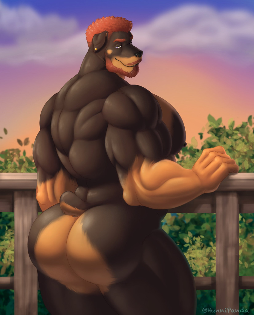 anthro back_muscles beard big_butt brown_body butt canid canine canis domestic_dog ear_piercing facial_hair fence hair hi_res hunnipanda looking_at_viewer looking_back looking_back_at_viewer male mammal muscular muscular_anthro muscular_male nude outside pecs piercing rear_view sky solo