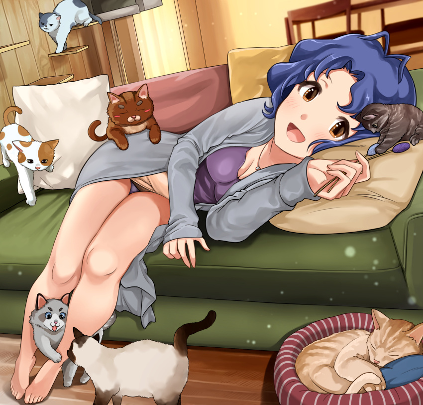 1girl :d absurdres antenna_hair bangs bare_legs barefoot beige_skirt blue_hair breasts brown_eyes cat cat_teaser chair cleavage closed_eyes couch curtains dust_particles grey_robe hanamasa_ono highres idolmaster idolmaster_million_live! indoors jewelry lavender_panties light_blush long_sleeves looking_at_viewer lying medium_breasts necklace on_couch on_side open_mouth panties pantyshot parted_bangs pet_bed pillow platform purple_shirt robe shirt short_hair siamese_cat skirt sleeping smile tabby_cat table thick_eyebrows toyokawa_fuuka underwear