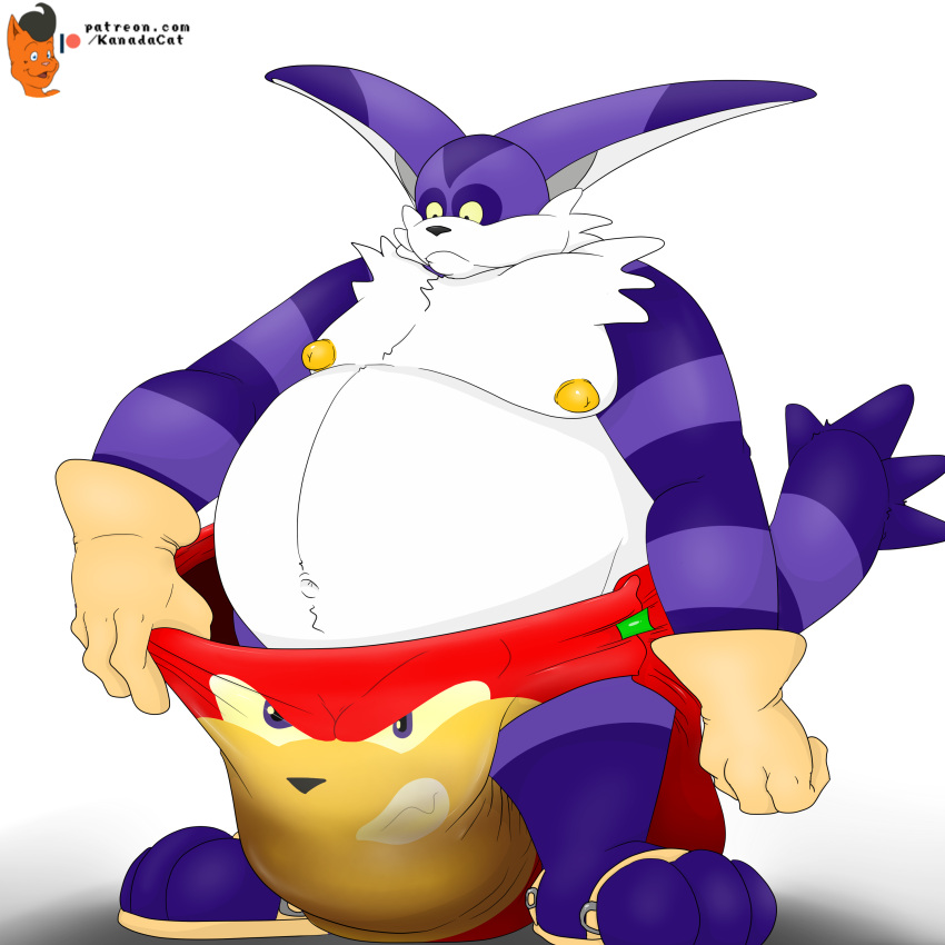 2021 absurd_res animate_inanimate anthro big_the_cat clothing diaper diaper_creature diaper_transformation domestic_cat echidna feces feet felid feline felis gloves handwear hi_res kanada knuckles_the_echidna long_ears looking_down mammal messy_diaper monotreme multicolored_body nipples overweight purple_body signature soiling sonic_the_hedgehog_(series) transformation tuft what what_has_science_done white_body yellow_nipples