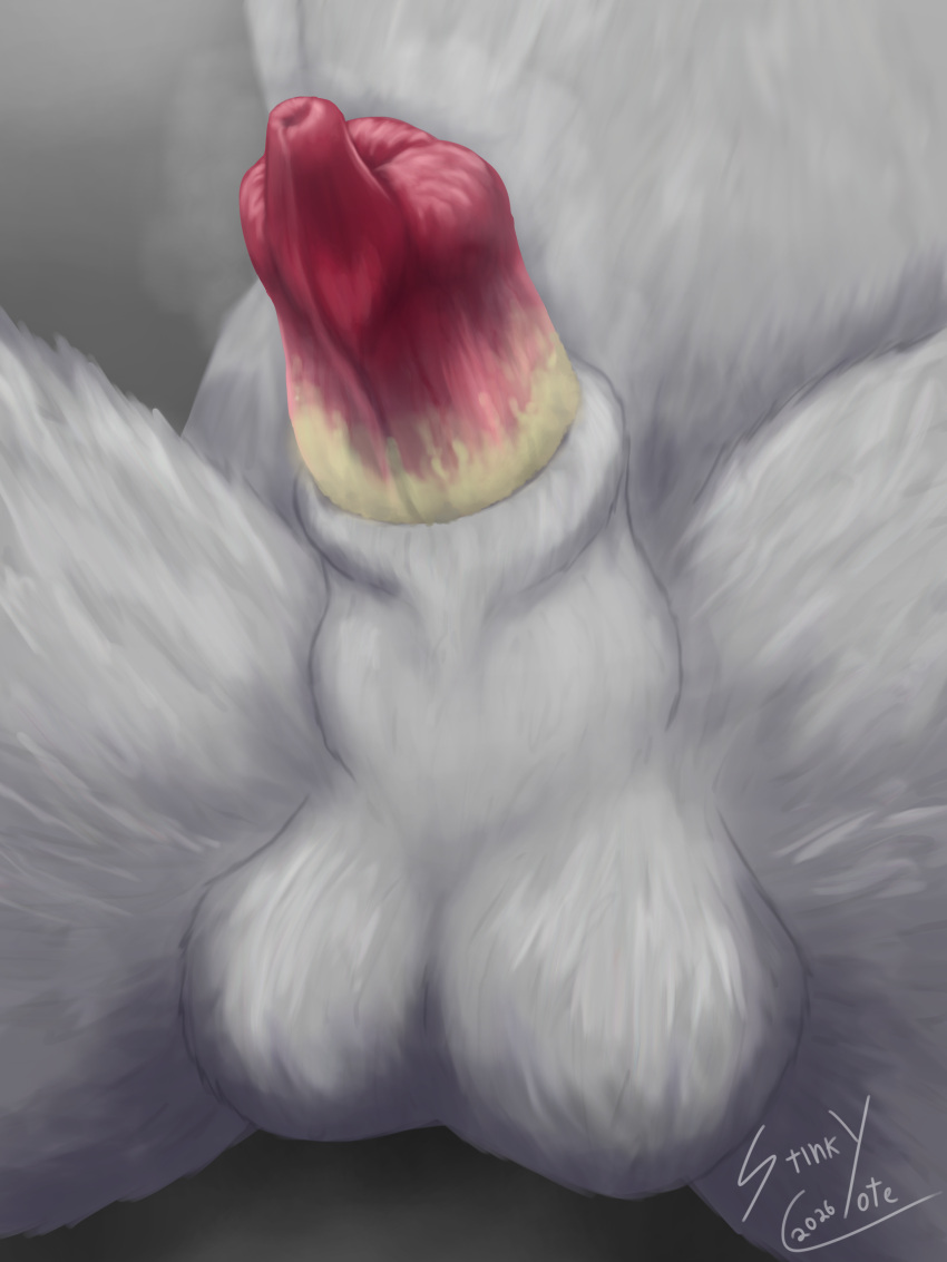 3:4 absurd_res anatomically_correct anatomically_correct_genitalia anatomically_correct_penis animal_genitalia animal_penis anthro balls canid canine canis close-up domestic_dog erection first_person_view genitals half-erect half_bomb hi_res knot knot_in_sheath knotted_penis male mammal musk musk_cloud musky_balls musky_penis penis sheath simple_background smegma smegma_in_sheath smegma_on_penis solo stinkycoyote