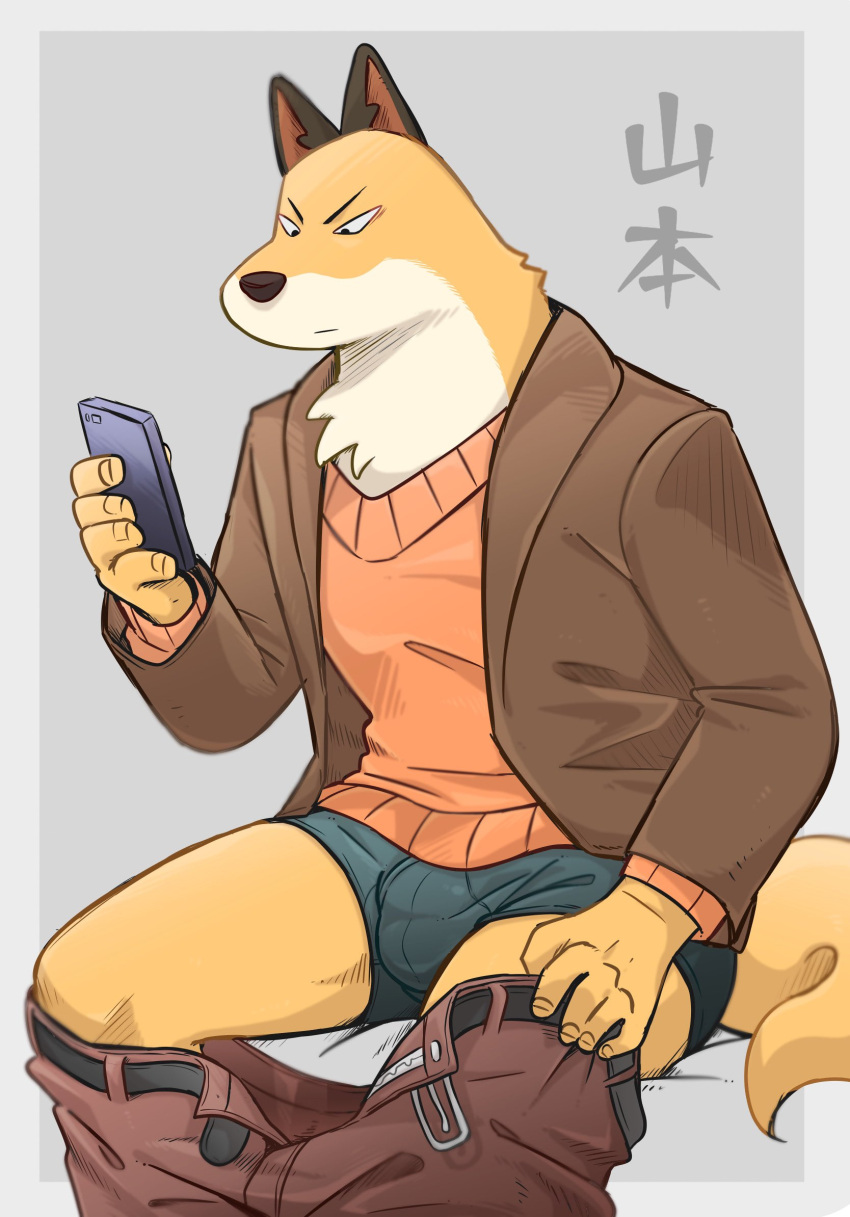 anthro bulge canid canine cellphone clothed clothing fox hi_res jacket koginoro_28 male mammal odd_taxi pants_down partially_clothed phone simple_background sitting smartphone sweater topwear underwear undressing v-neck yamamoto_(odd_taxi)