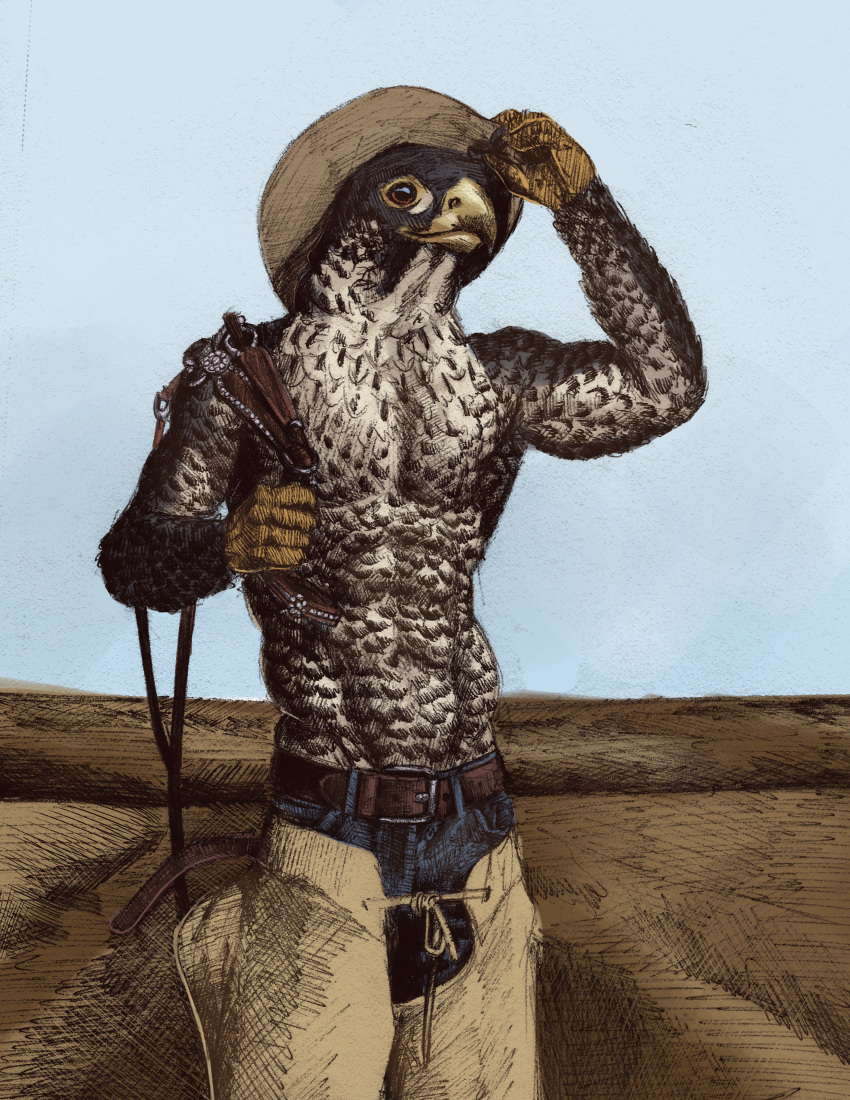 absurd_res anthro avian beak belt bird bottomwear chaps clothing cowboy cowboy_hat denim denim_clothing falcon falconid feathers field hat headgear headwear hi_res jeans looking_at_viewer male momamo muscular muscular_anthro muscular_male pants peregrine_falcon shirtless simple_background solo solo_focus