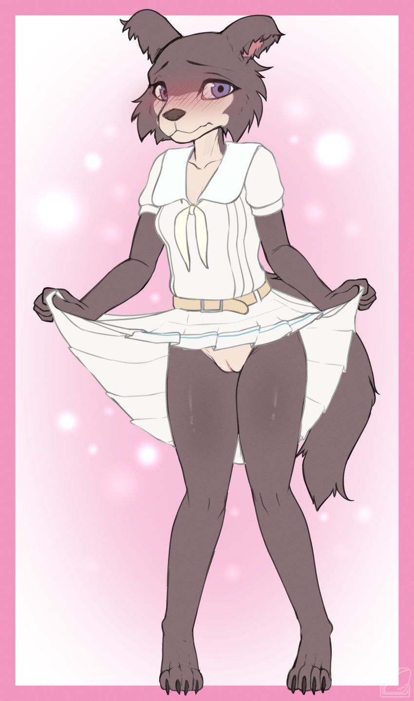 absurd_res anthro beastars blue_eyes blush bottomwear breasts canid canine canis claws clothed clothing clothing_lift embarrassed female fur genitals grey_body grey_fur hi_res juno_(beastars) looking_at_viewer mammal no_underwear omega56 pussy shy skirt skirt_lift small_breasts solo standing teenager wolf young