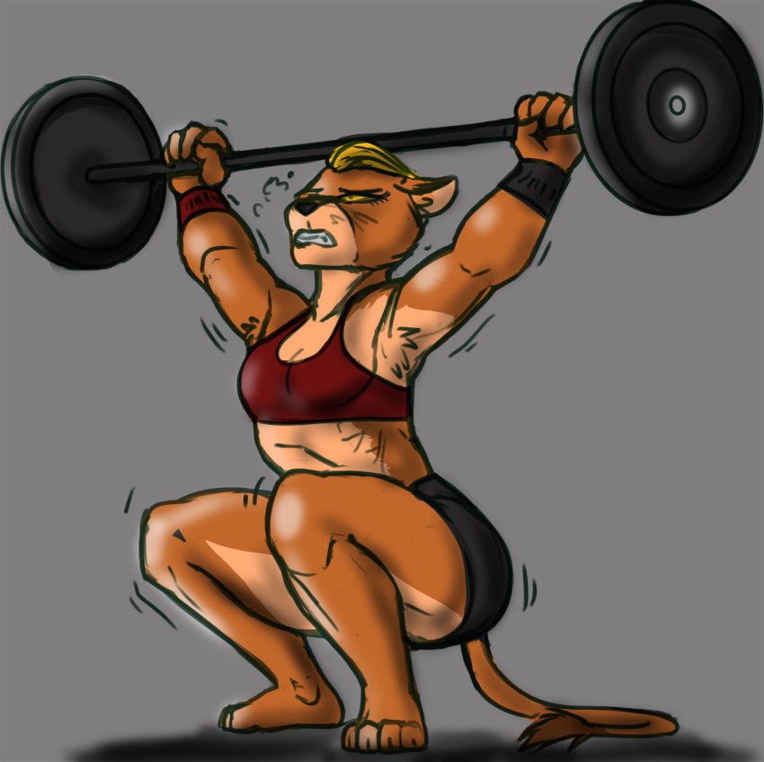 anonymous_artist anthro armpit_hair armpit_tuft arms_above_head blonde_hair body_hair bottomwear bra breasts cleavage clothed clothing colored crouching domestic_cat exercise felid feline felis female hair hi_res holding_weights lion mammal multicolored_body pantherine sally_pride shaking shorts simple_background solo sports_bra tail_tuft teenage_mutant_ninja_turtles tuft two_tone_body underwear unknown_artist weightlifting workout yellow_eyes