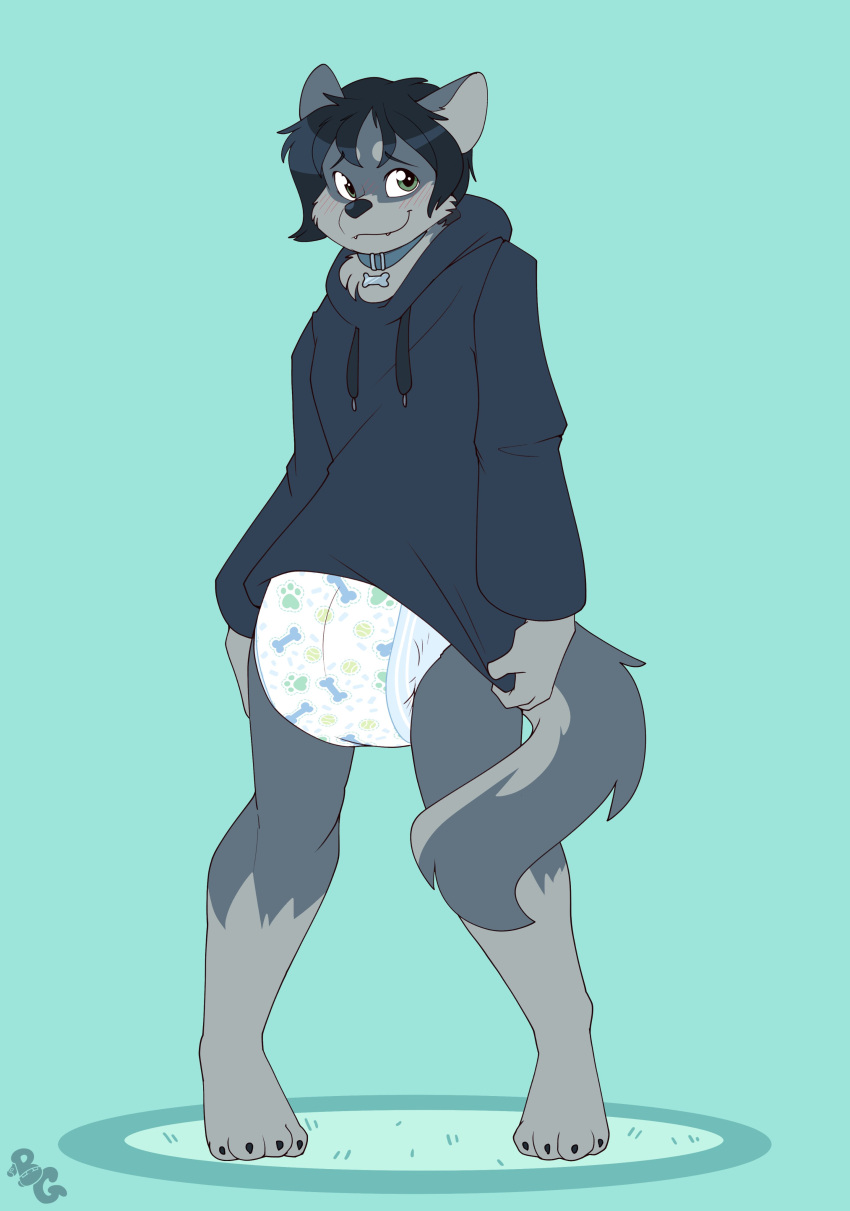 absurd_res anthro blush canid canine canis claws clothing collar cuddlehooves diaper hi_res hoodie looking_at_viewer male mammal paws pulling_down_shirt smile solo standing topwear wolf