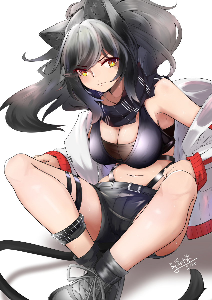 1girl absurdres animal_ears arknights bangs bare_shoulders belt black_belt black_footwear black_scarf black_scrunchie black_shirt black_shorts breasts cat_ears cat_tail chinese_commentary cleavage closed_mouth commentary_request crop_top dated ear_piercing eyebrows_visible_through_hair floating_hair hair_between_eyes highres hinanawi_mika indian_style jacket large_breasts long_hair looking_at_viewer midriff navel off_shoulder open_clothes open_jacket piercing ponytail scarf schwarz_(arknights) scrunchie shadow shirt shoes short_shorts shorts sidelocks signature silver_hair simple_background sitting sleeveless sleeveless_shirt solo swept_bangs tail thigh_strap white_background yellow_eyes