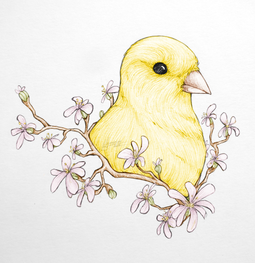 2015 absurd_res ambiguous_gender avian beak bird blacknemera canary dated feathers feral finch flower headshot_portrait hi_res oscine passerine plant portrait signature simple_background solo traditional_media_(artwork) white_background yellow_body yellow_feathers