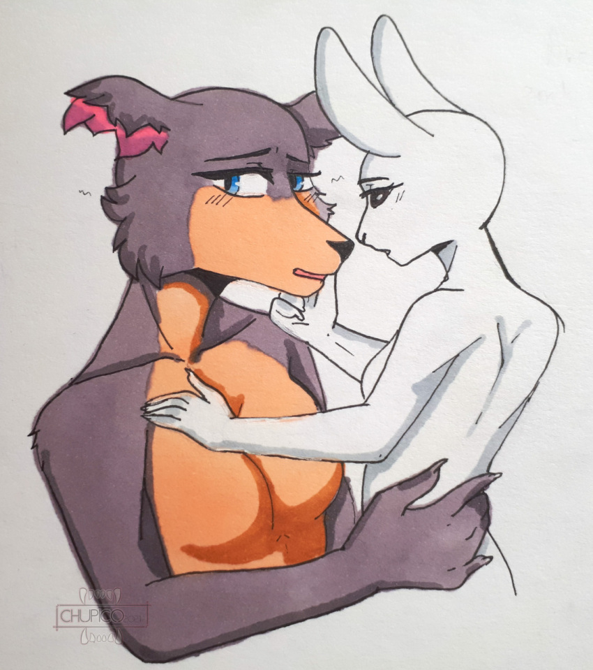 2021 anthro anthro_on_anthro beastars blue_eyes breasts brown_body brown_fur canid canine canis chupico duo featureless_breasts female female/female fur haru_(beastars) hi_res interspecies juno_(beastars) lagomorph leporid mammal nude predator/prey rabbit traditional_media_(artwork) white_body white_fur wolf