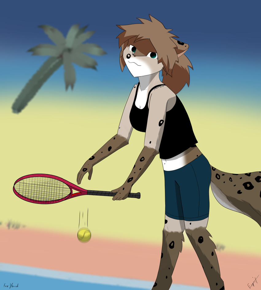 absurd_res anthro ball beach blue_eyes blue_sky esprit female fur gloves_(marking) green_eyes hi_res holding_object kathrin_vaughan keidran leg_markings looking_at_viewer markings midriff motion_blur palm_tree plant seaside shaded side_view sky socks_(marking) solo spots spotted_body spotted_fur tennis tennis_ball tennis_court tennis_racket tree twokinds webcomic